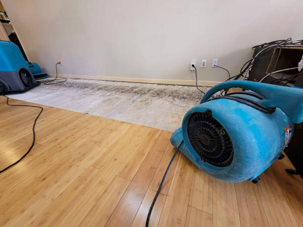 Professional Flood Damage Cleanup technician working in Myrtle Beach, SC